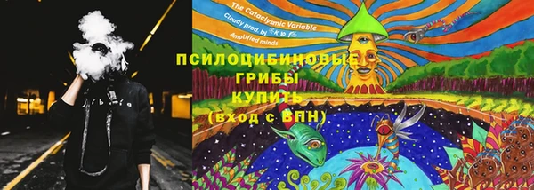 бошки Гусь-Хрустальный